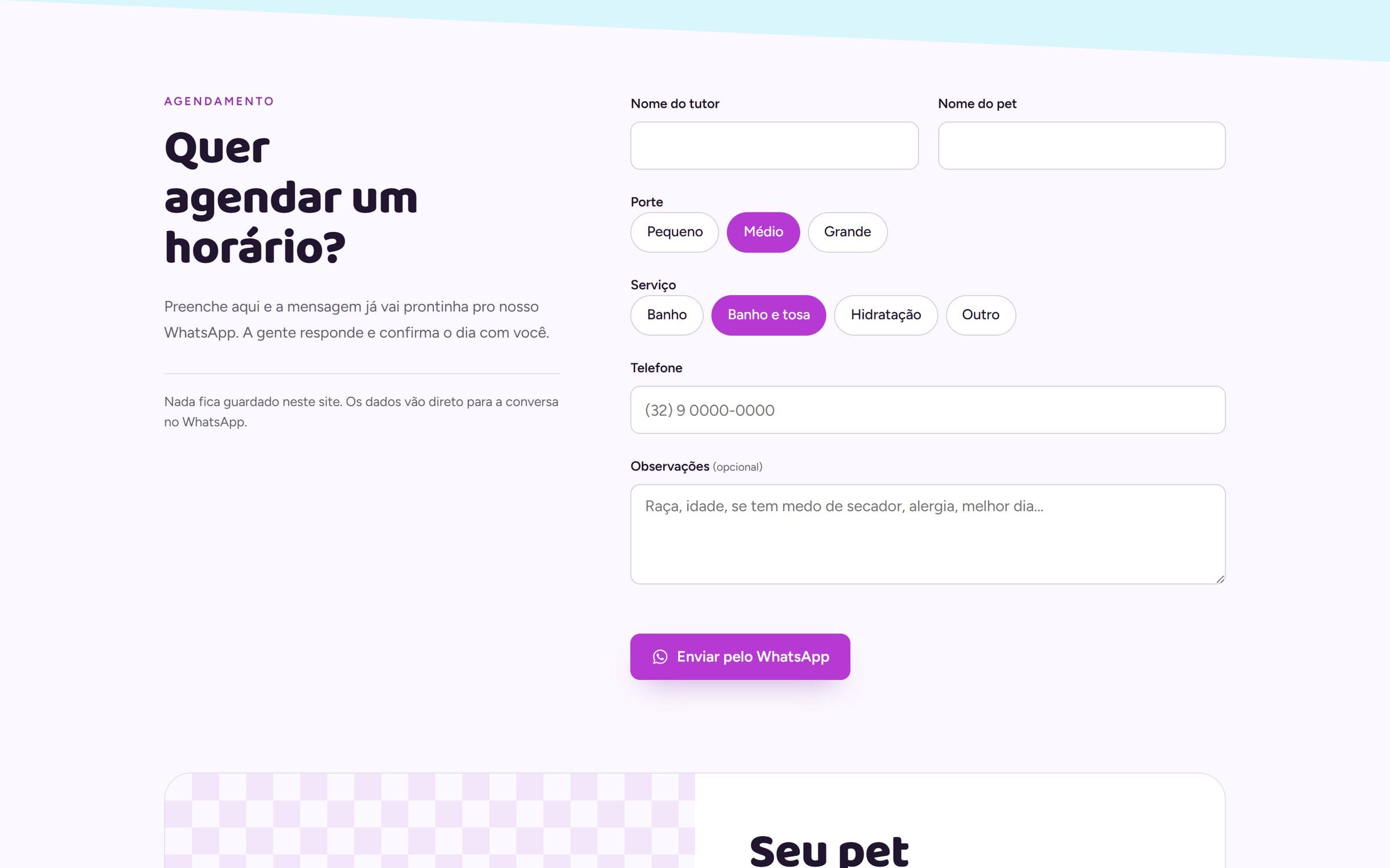 Formulário de agendamento da Amoreco com campos de tutor e pet, botões de porte e serviço e o botão “Enviar pelo WhatsApp”.