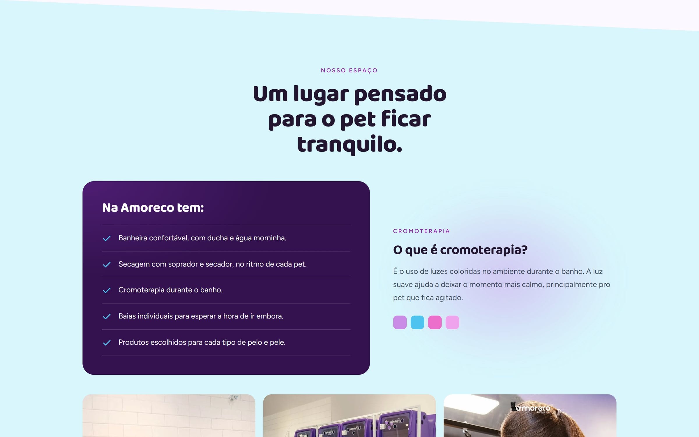 Seção do espaço com fotos reais do salão de banho e tosa.