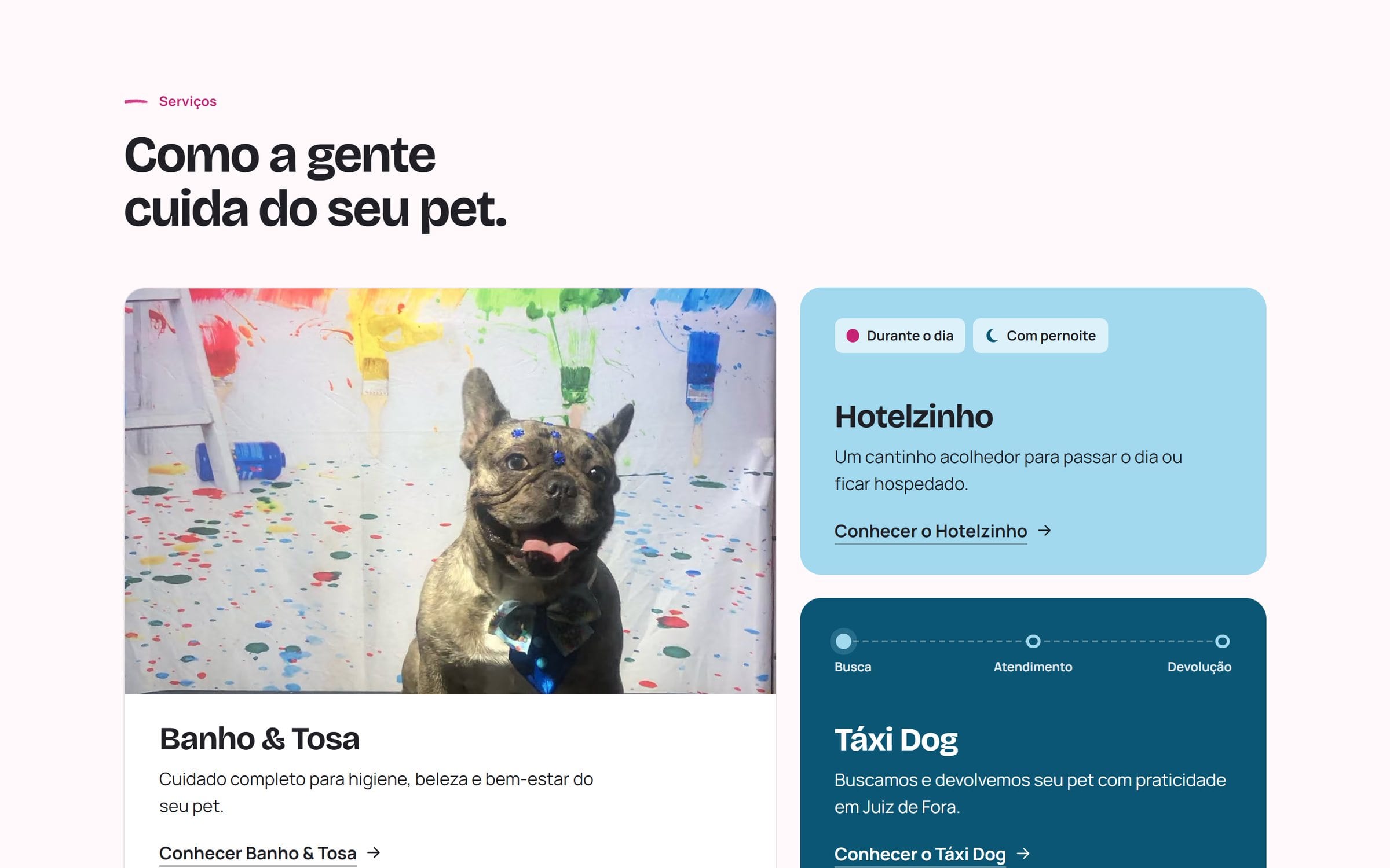 Grade de serviços do Bicho Peludo: banho e tosa com foto na coluna maior, hotelzinho e táxi dog como cartões gráficos.