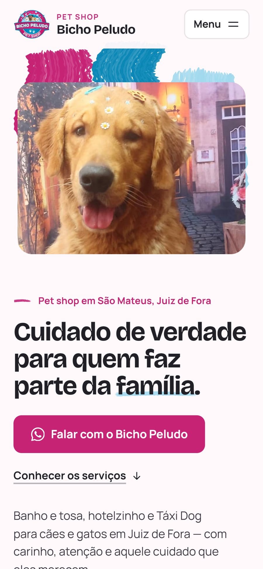 Home do Bicho Peludo no celular, com a foto e as pinceladas no topo.