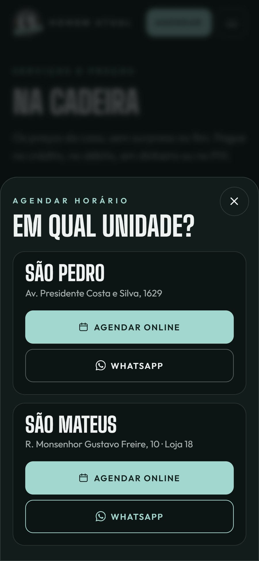 Diálogo de unidade no celular, aberto como uma folha na base da tela.